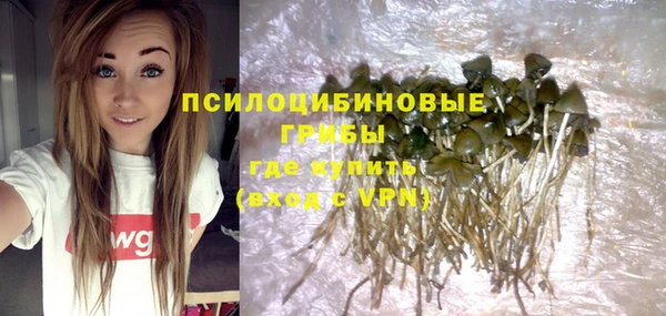 ПСИЛОЦИБИНОВЫЕ ГРИБЫ Белокуриха
