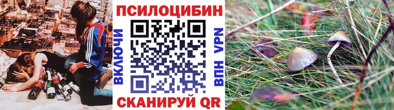 Галлюциногенные грибы MAGIC MUSHROOMS  цены наркотик  Эртиль 